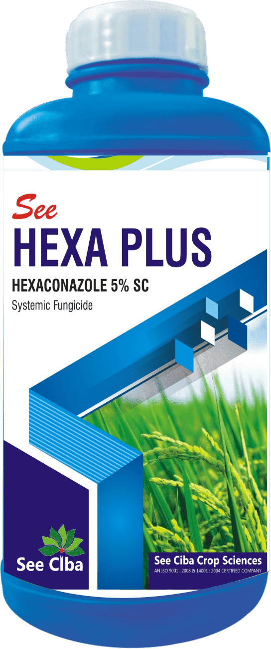 See Hexa Plus-min