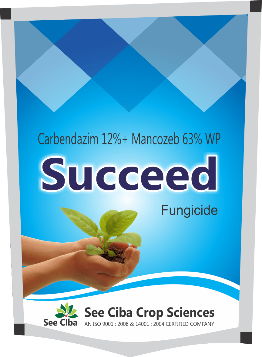 Succeed-min